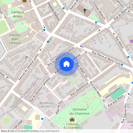 44 RUE DU DR CALMETTE, Le Charmois, Vandoeuvre Les Nancy