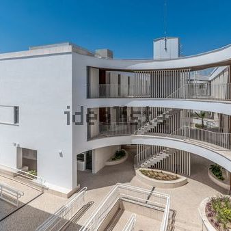 Alquiler de piso en Avenida Diego Velazquez - Photo 1