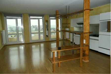 Location Appartement 3 pièces 65m² ST ETIENNE 42000 - Photo 3