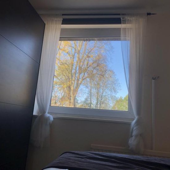 1 bedroom flat within a house. Available 1/7/25 - Photo 1