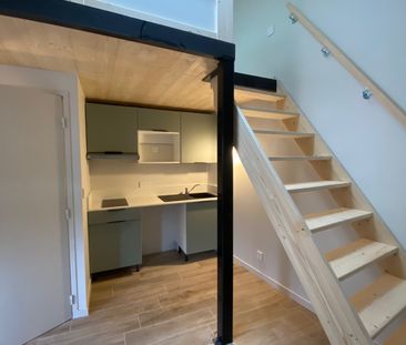 Location Appartement 1 pièce 19m² BRIGNAIS 69530 - Photo 2