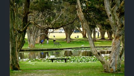 Furnished One Bedroom Apartment Located in the Heart of Kensington - Photo 5