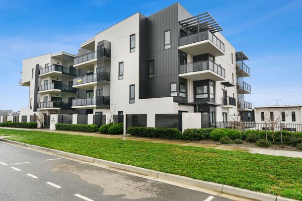 Modern Living! - Photo 1