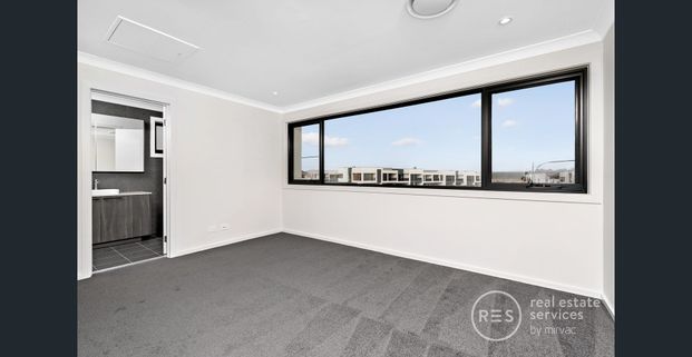 Modern 4 Bedroom House in Georges Cove by Mirvac! - Photo 1