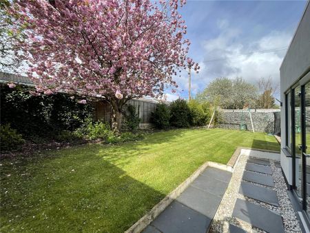 4 bedroom semi-detached house to rent - Photo 2