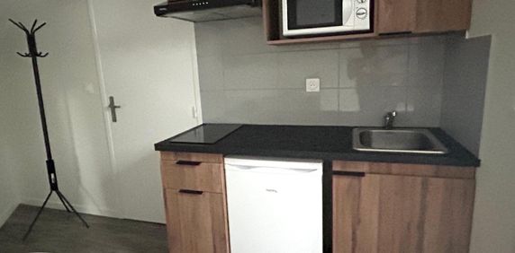 Location Appartement 1 pièce ST ETIENNE 42000 - Photo 2