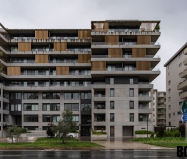 37/217 Northbourne Avenue Turner ACT - Photo 1