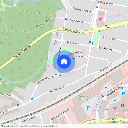 39 Woodlands Avenue, NSW 2305, New Lambton