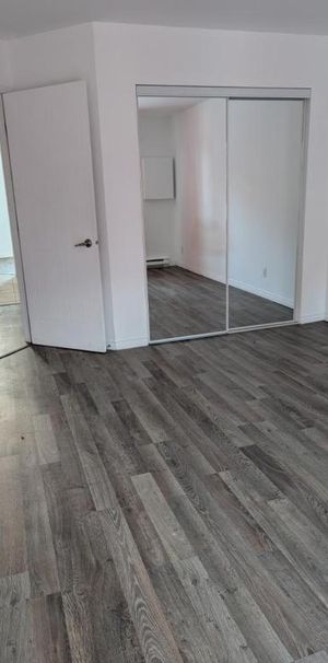 4 1/2 - Lévis - 1 015 $/mois - Photo 1