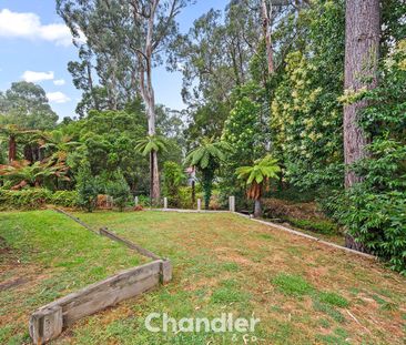 CHARACTER FAMILY HOME - Photo 5