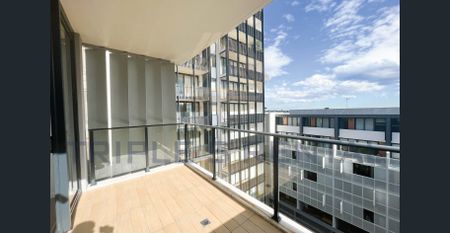 Spacious 2 bed-rooms Apartment located in Central Zetland - Unfurnished - Photo 5