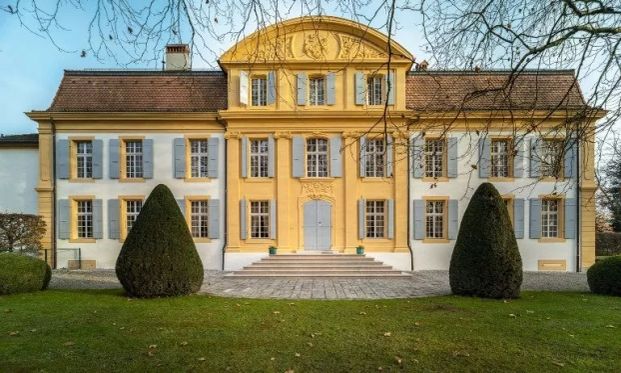 Magnifique logement de 4.5 pièces dans la propriété du Château - Foto 1