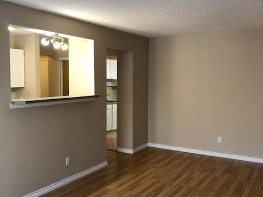 Amazing 2 Bedroom Top Floor Apartment!! - Photo 1