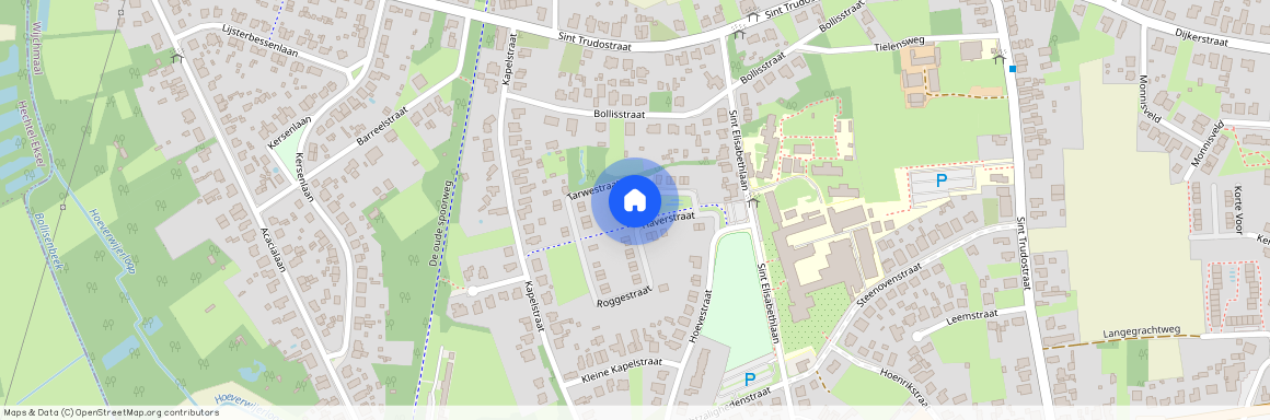 Tarwestraat, Peer, 3990