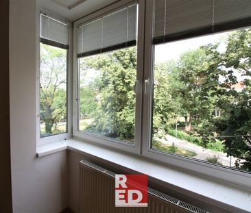 tolles Apartment -Blick auf den Park Heizung/Warmwasser/Garagenplat... - Photo 3