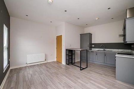 12 Saintfield Mill, Saintfield, BT24 7FH - Photo 3