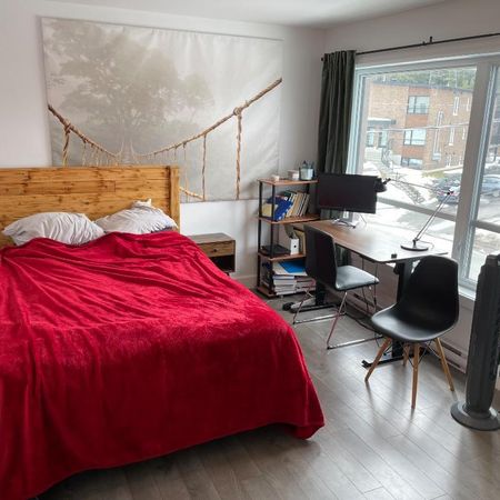 Fleurimont, près du CHUS - 4 et demi très éclairé - Photo 3