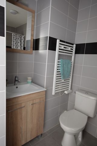 Location Appartement 1 pièce 22m² ISLE 87170 - Photo 3