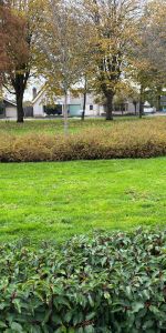 Woning met de slaapkamer op de begane grond - Foto 4