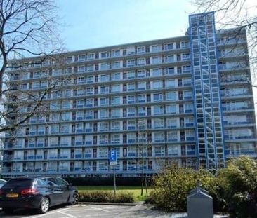 Burgemeester Hazenberglaan 3078 HG Rotterdam - Photo 5