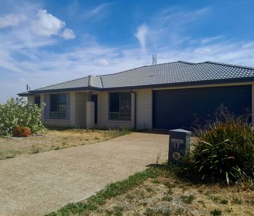 Great 4 Bedroom Home In Westdale - Photo 3