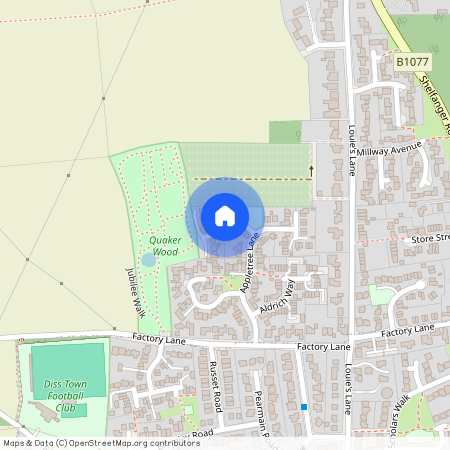 Newstead Walk, Diss, Roydon