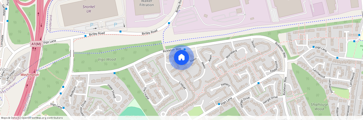 Alwin, Washington, Tyne And Wear, NE38