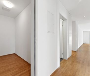 Here, you’re on the sunny side of life - Foto 5