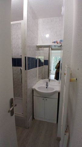 Location Appartement 1 pièce 22m² MURET 31600 - Photo 4