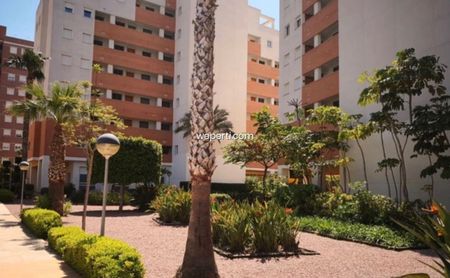 Apartment in Guardamar del Segura, PUERTO, for rent - Photo 4