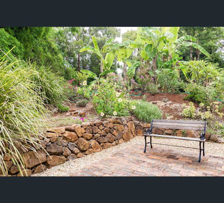 557 Tuntable Falls Road, Nimbin, NSW 2480 - Photo 3