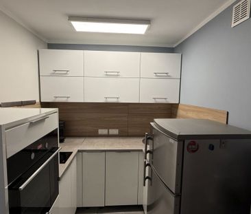 Mieszkanie do wynajęcia 1 pokoje Józefa Ryszki, Chorzów 33 m² - Photo 1
