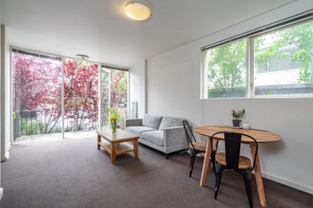 Unit 15/259 Domain Road, - Photo 3