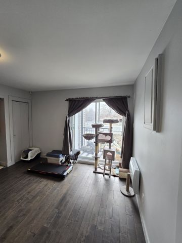 8179 Rue St-Hubert - Photo 4