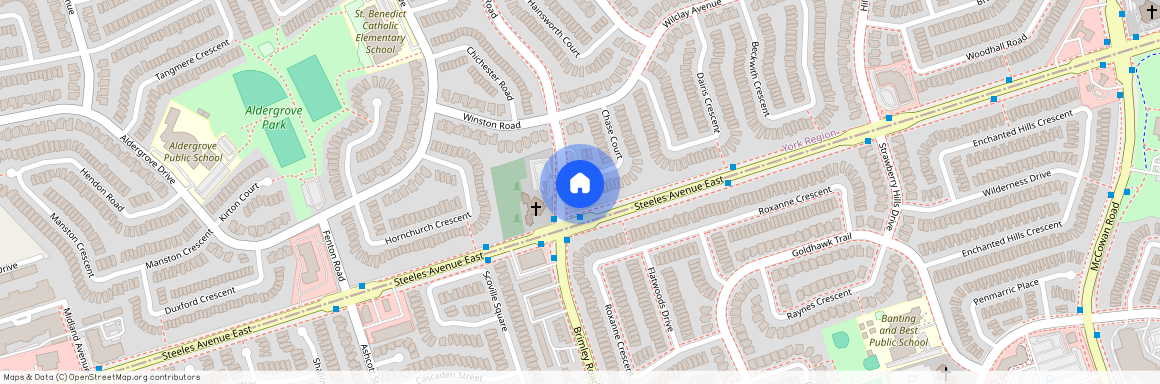 51 Chase Court Unit# Lower, Markham