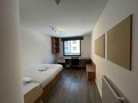 Platinum Ensuite Upper Level - Photo 3