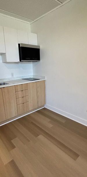 Studio - Saint-Charles-Borromée - $1,049 /mo - Photo 1