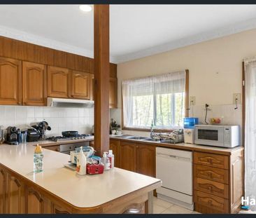 Comfort, Space & Location in the Heart of Bulleen - Photo 6