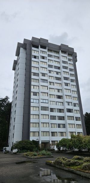 Montecito Towers - Photo 1