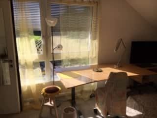 1 Zimmer, 25 m² - Foto 5