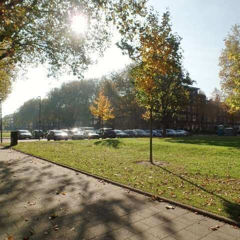 Bijlwerffstraat, Rotterdam, Nederland - Foto 1