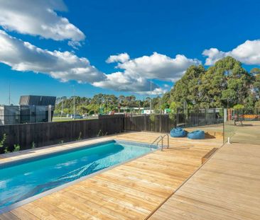 Elevated Sunny, modern 2 bedroom apartment - Photo 3