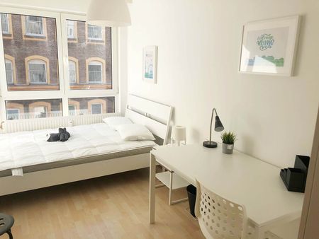 Sonnleithnergasse Top 95 Zimmer 3 - Photo 5