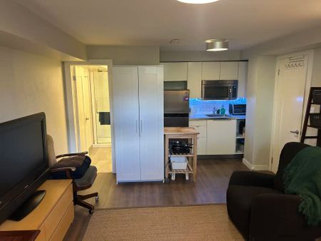 25 Santa Barbara Road, Toronto, Ontario, Canada, M2N 2C8 — Furnished Studio/Bachelor - Photo 4
