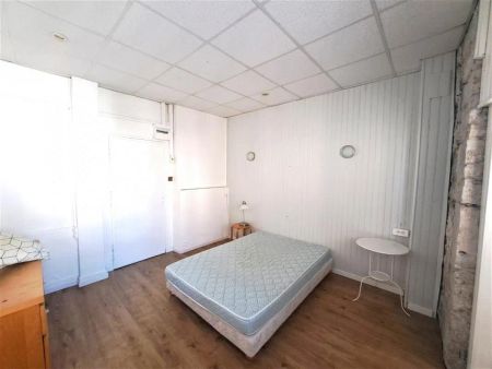 Location appartement 1 pièce - 27.93m² à Vienne (38200) - Photo 3