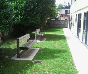 This large self contained studio room wont last long. - Photo 4