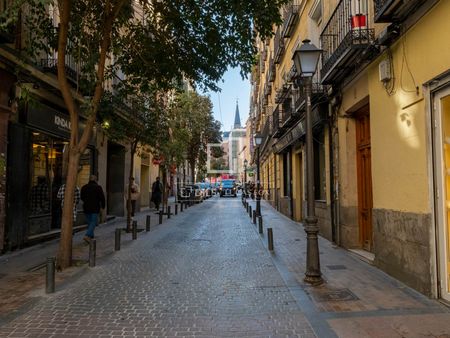 Excellent 2 Bedroom apartment for rent in Malasaña, Madrid - Photo 4