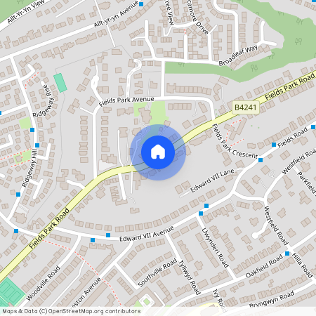 Fields Park Road, Newport