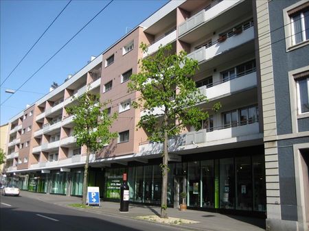 "Am Puls des Lebens!" - Foto 5