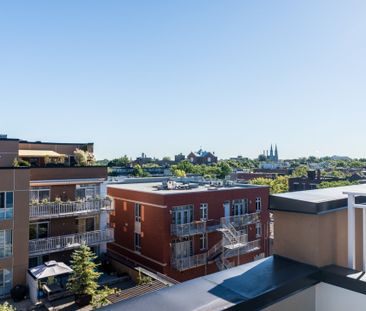 12 Av. Shamrock, app.419, H2S 1A4, H2S 1A4, Montréal - Photo 5